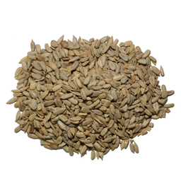 مغز تخمه شور حقیقت وزن 280 گرم