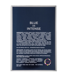 ادوپرفیوم مردانه اسپرینگ لیلیز مدل Blue De Intense حجم 100 میلی‌ لیتر