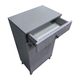 جاکفشی مدل پایا