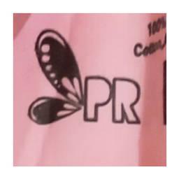 شورت زنانه پینار کد Pj04 رنگ طوسی