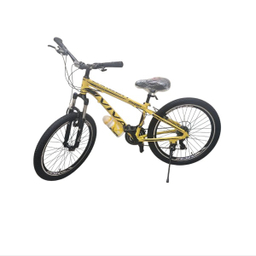 دوچرخه کوهستان ویوا مدل اکسیژن کد 004