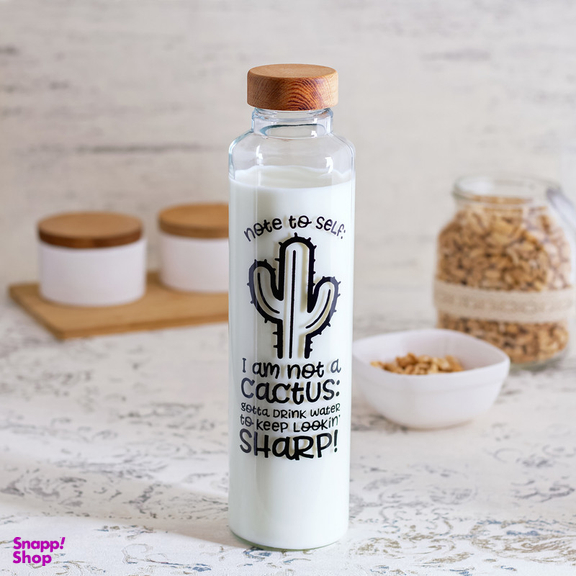 بطری میس گلس مدل ایوان کاکتوس کد DH93