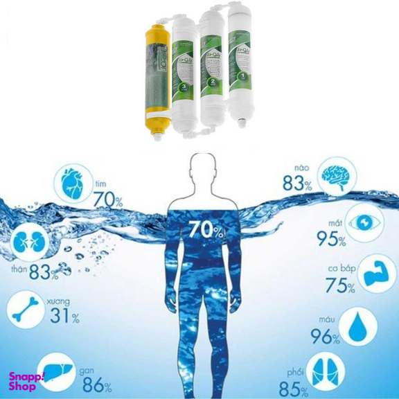 فیلتر تصفیه آب یخچال و فریزر بلوط مدل گیاهی BL 401 مجموعه 4 عددی