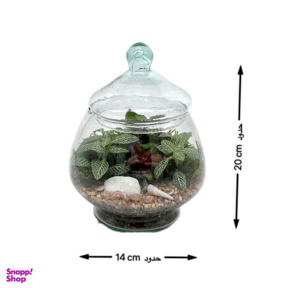 تراریوم مدل زنبق