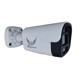 دوربین مداربسته تحت شبکه 5 مگاپیکسل رایمون مدل IP-POE کد 8235