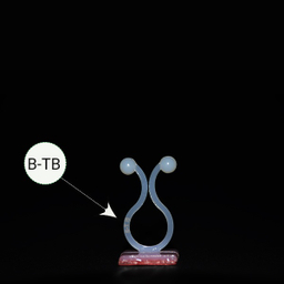 گیره نگهدارنده پتوس مدل tb مجموعه 40 عددی