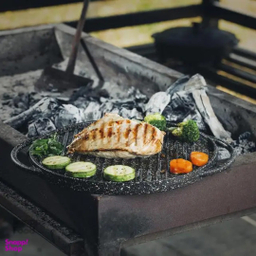 تابه گریل نالینو مدل Spiza سایز 28