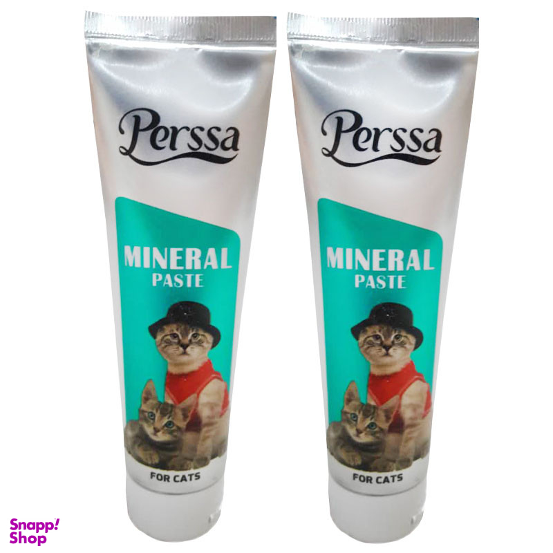 خمیر مینرال گربه پرسا مدل Mineral Paste وزن 100 گرم بسته 2 عددی