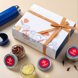 ست هدیه ویستور مدل نوشا کد 4020