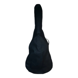 گیتار طرح سخیا مدل G1