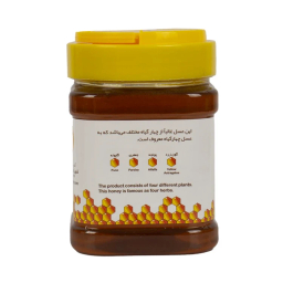 عسل چهار گیاه مخصوص ممتاز خوانسار وزن 500 گرم