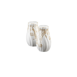 نمکدان گلدکیش طرح سارینا کد GK701103-6 مجموعه 2 عددی