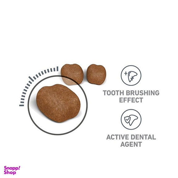 غذا خشک گربه رویال کنین دنتال کر وزن 2 کیلوگرم
