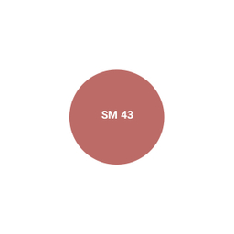رژ لب جامد اشتون شماره SM43