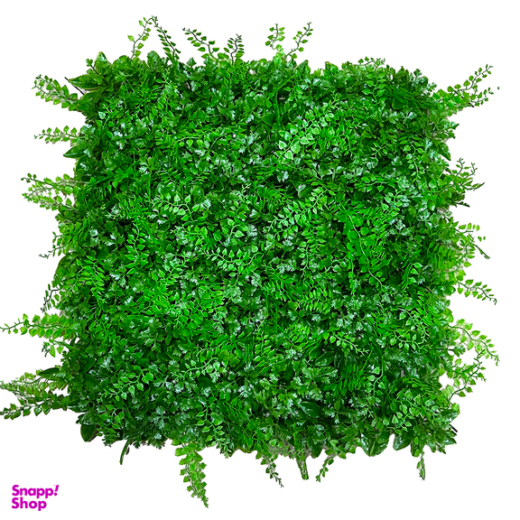 گرین وال مدی سیکاس رنگ سبز