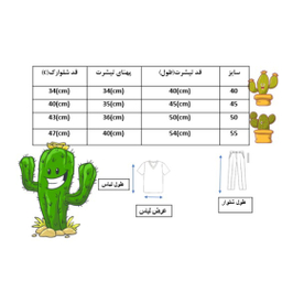 ست تیشرت و شلوارک اسپرت آذین پوش طرح کاکتوس کد 05