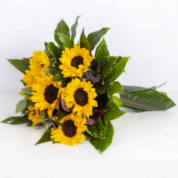 دسته گل طبیعی مدل آفتاب گردان کد 6630
