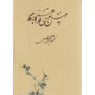 کتاب چهل نامه کوتاه به همسرم اثر نادر ابراهیمی نشر روزبهان