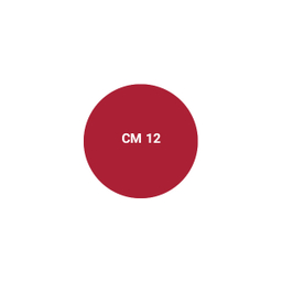 رژ لب مدادی اشتون کد CM 12 رنگ سرخابی