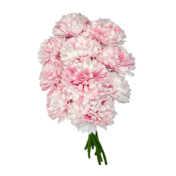 دسته گل مصنوعی مدل داوودی بسته 10 عددی