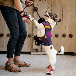 قلاده کتفی سگ و گربه تادو کد S108 سایز XXL