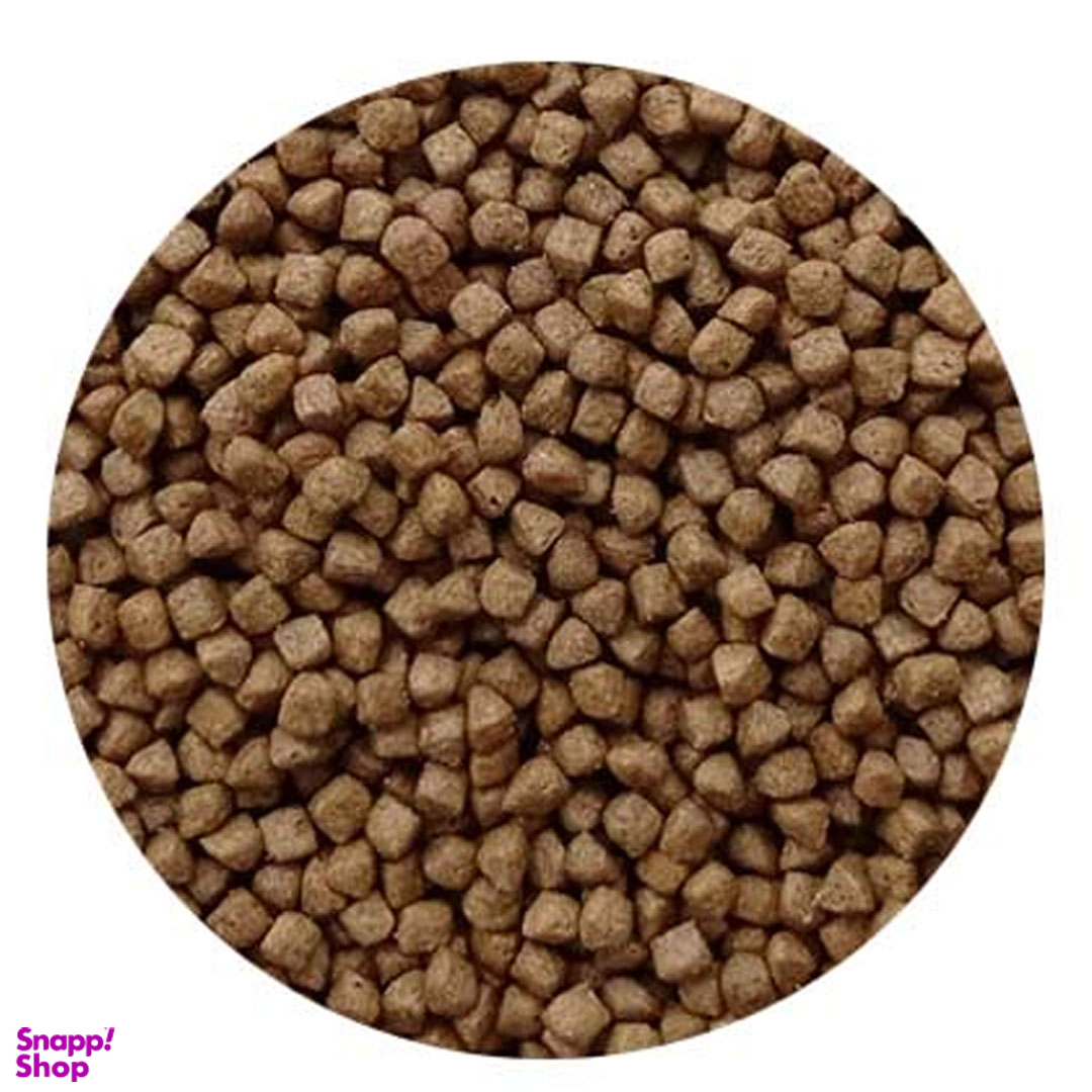 غذا بچه گربه فیدار پاتیرا مدل Kitten-2 وزن 2 کیلوگرم
