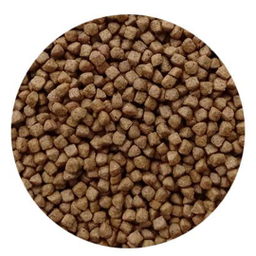 غذا بچه گربه فیدار پاتیرا مدل Kitten-2 وزن 2 کیلوگرم