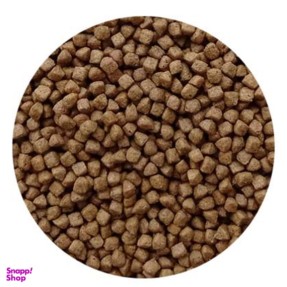 غذا بچه گربه فیدار پاتیرا مدل Kitten-2 وزن 2 کیلوگرم