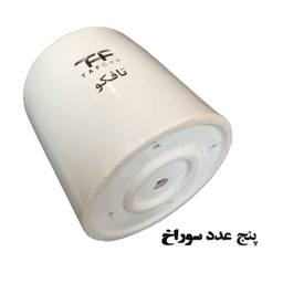 گل طبیعی سانسوريا ابلق تافکو کد 2022