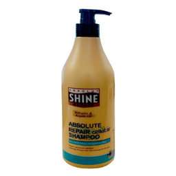شامپو آبرسان مو شاین مدل Absolute Repair حجم 620 میلی لیتر