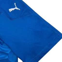 تیشرت ورزشی پسرانه مدل پالمیراس کد NK-3354 رنگ آبی