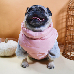 لباس سگ و گربه مدل 504 رنگ صورتی