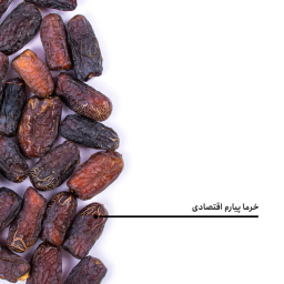 خرما پیارم اقتصادی بارجیل