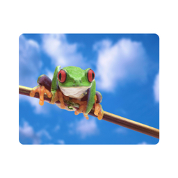ماوس پد اطلس آبی طرح آسمان و قورباغه  مدل T2192