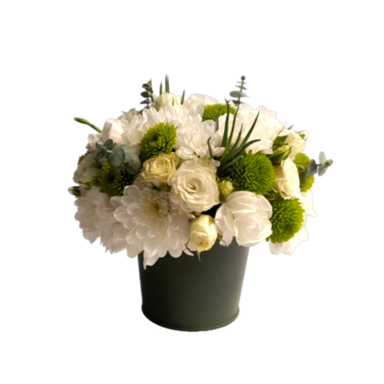 باکس گل طبیعی داوودی نارگل کد 0225