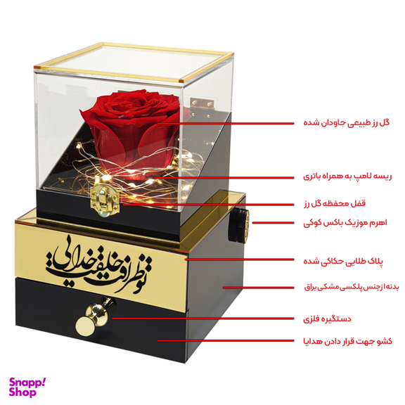 باکس گل رز جاودان مدل موزیکال طرح خلقت