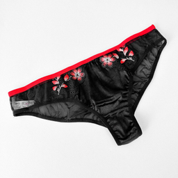 ست شورت و سوتین زنانه نوشه پوش مدل توری کد 88811