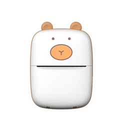 پرینتر لیبل زن حرارتی ناب سل مدل NAAB001