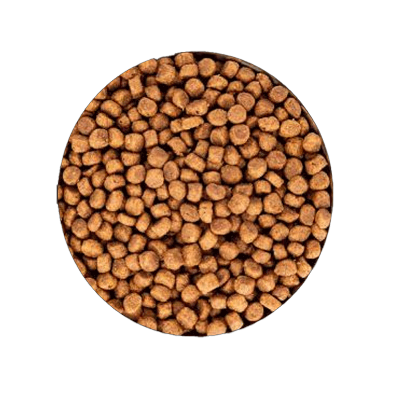 غذا خشک گربه رفلکس پلاس مدل Sterilised With Chicken وزن 1.5 کیلوگرم