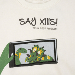 سویشرت پسرانه فیورلا مدل دایناسور کد 35553