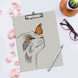 بسته لوازم تحریر پدیده نقش مدل meow بسته 3 عددی