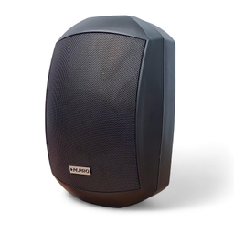 اسپیکر دیواری ام پرو مدل DP-5110