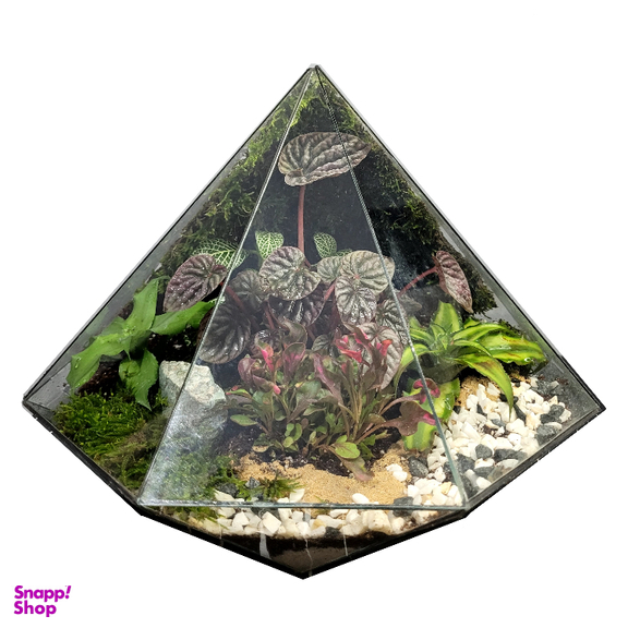 تراریوم ترارتوس مدل 04