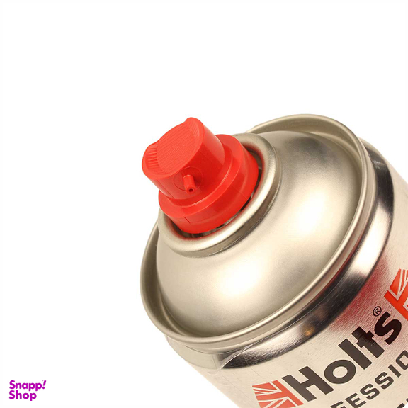 اسپری موتور شوی هولتس مدل professional کد 80701 حجم 500 میلی لیتر