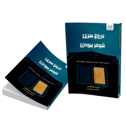 کتاب دروغ سری شوهر بیوه زن اثر فریدا مک فادن نشر آذرگون