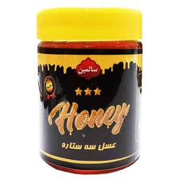 عسل سه ستاره سالمین وزن 500 گرم