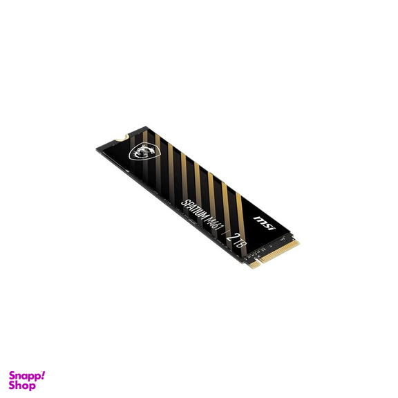 حافظه SSD اینترنال ام اس آی مدل SPATIUM M461 NVMe M.2
