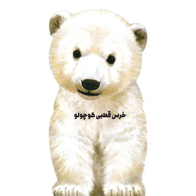 کتاب خرس قطبی  اثر جیووانی کاویتسل انتشارات بین المللی گاج
