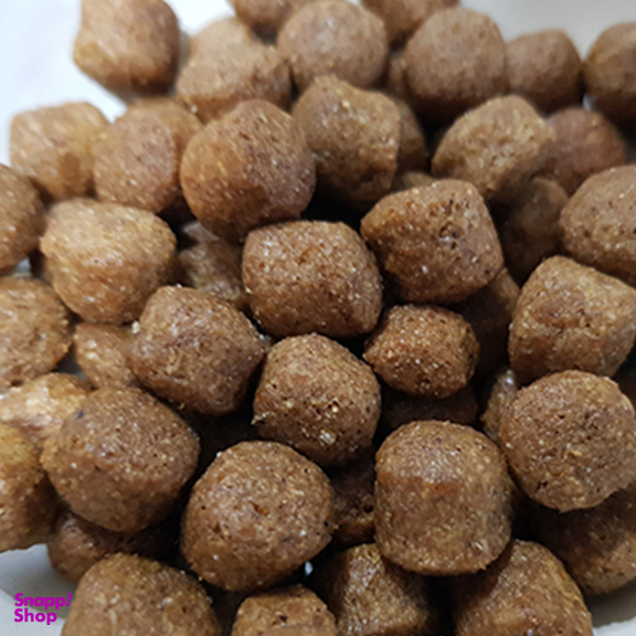 غذای خشک سگ وودو مدل ژرمن لارج ادلت وزن 10کیلوگرم بسته 2 عددی