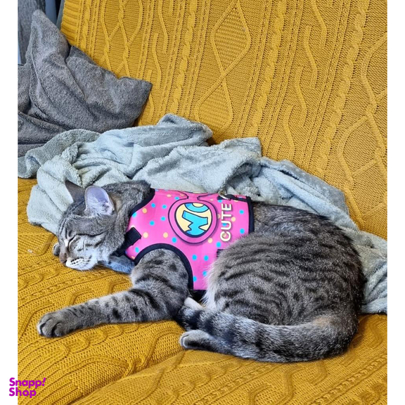 قلاده کتفی سگ تادو کد S103 سایز XL